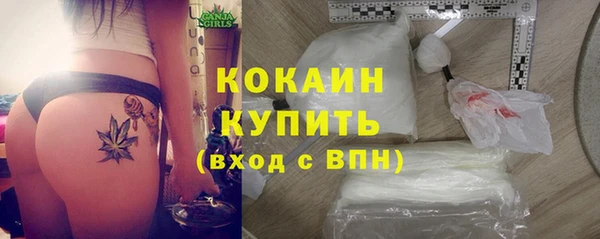МДПВ Нея