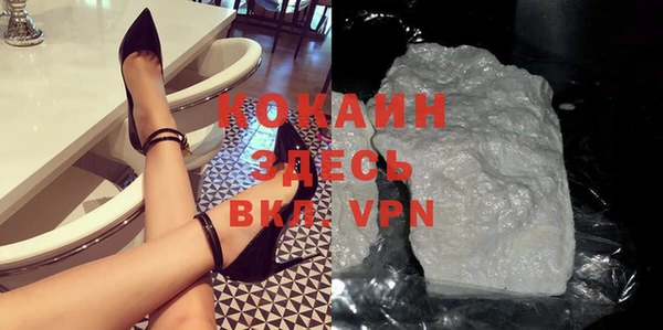 МДПВ Нея