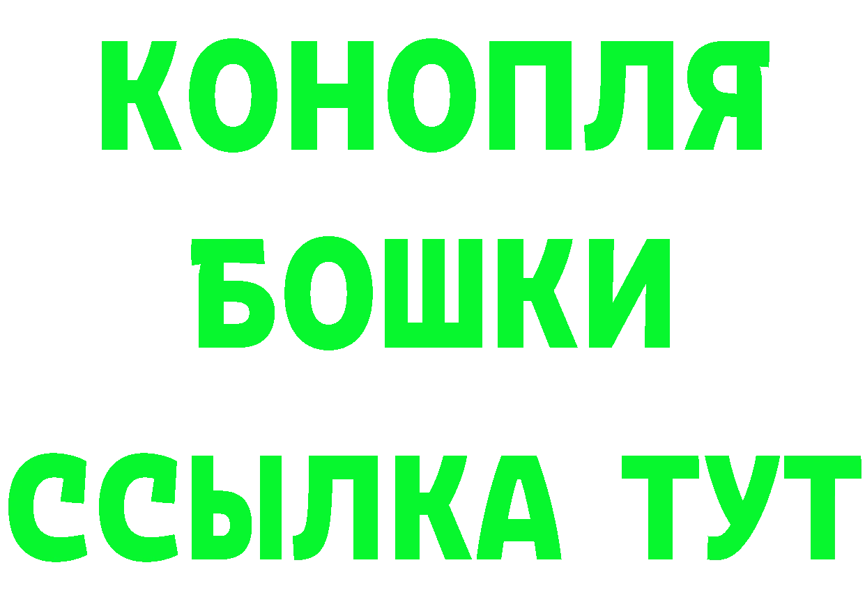 Где купить наркотики? это формула Тайга