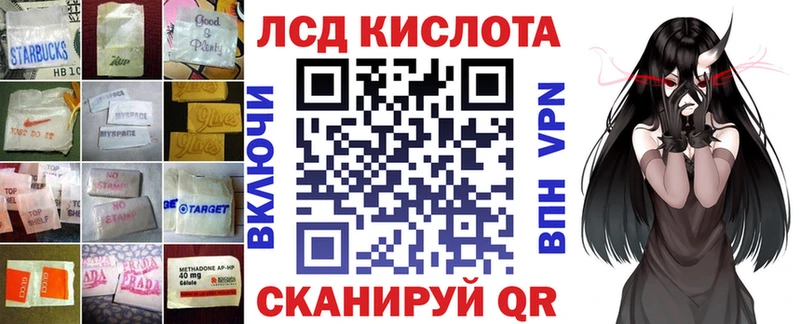 где купить наркоту  Тайга  Лсд 25 экстази ecstasy 