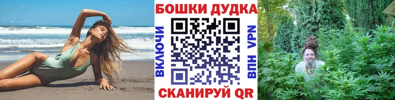 купить наркотик  Тайга  omg зеркало  Каннабис сатива 